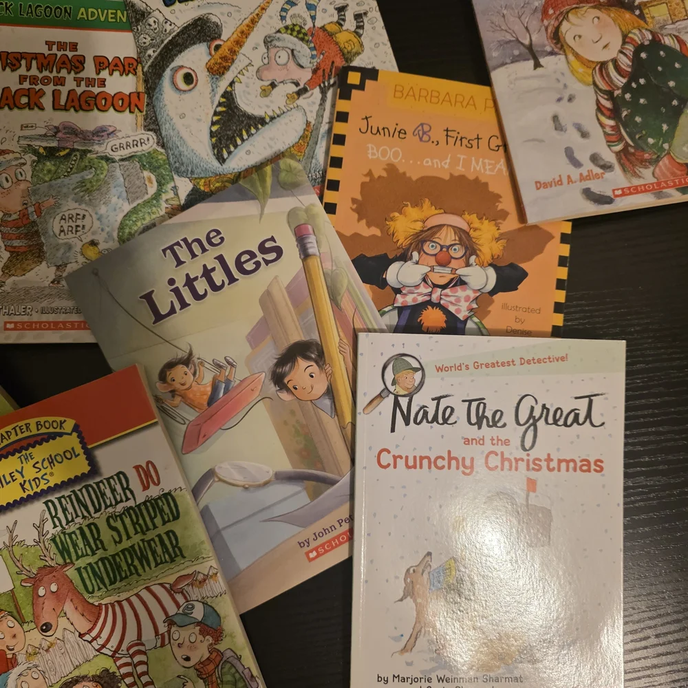 Scholastic Children's Chapter Book Collection Colorful Illustrated Covers - Picture 3 of 4